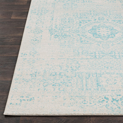 Surya Harput HAP-1026 Teal Traditional Machine Woven Rug