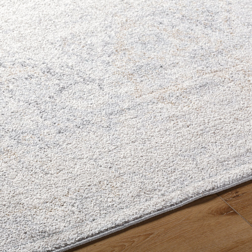 Surya Harput HAP-1167 Light Beige Traditional Machine Woven Rug