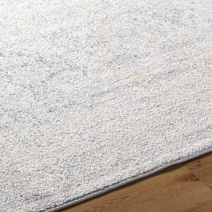 Surya Harput HAP-1167 Light Beige Traditional Machine Woven Rug