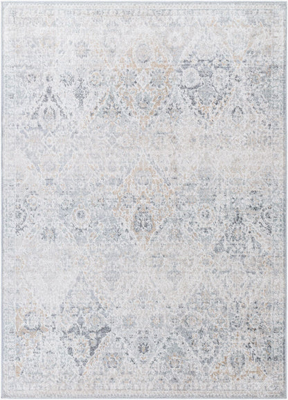 Surya Harput HAP-1167 Light Beige Traditional Machine Woven Rug