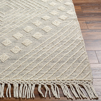 Surya Hemingway HMG-2306 Ivory Cottage Hand Woven Rug