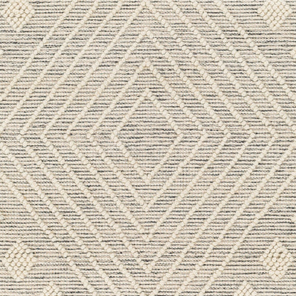 Surya Hemingway HMG-2306 Ivory Cottage Hand Woven Rug