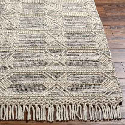 Surya Hemingway HMG-2310 Ivory Cottage Hand Woven Rug