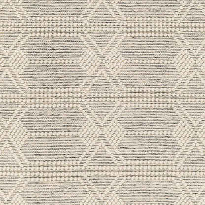 Surya Hemingway HMG-2310 Ivory Cottage Hand Woven Rug