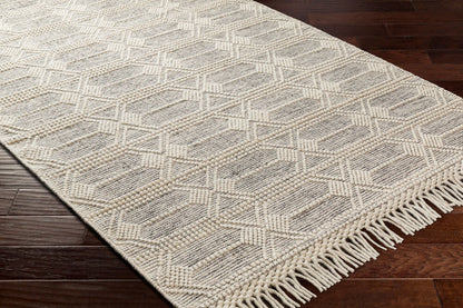 Surya Hemingway HMG-2310 Ivory Cottage Hand Woven Rug