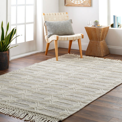 Surya Hemingway HMG-2310 Ivory Cottage Hand Woven Rug