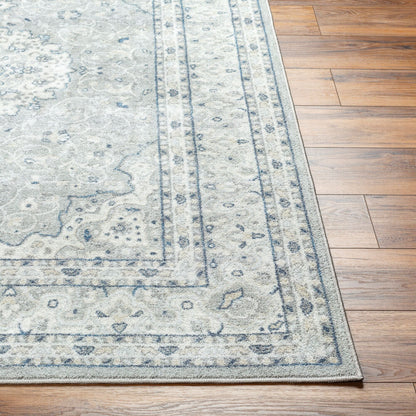 Surya Hera HRH-2309 Gray Traditional Machine Woven Rug