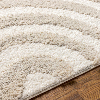 Surya Hudson Shag HDS-2308 Cream Modern Machine Woven Rug