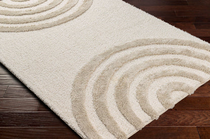 Surya Hudson Shag HDS-2308 Cream Modern Machine Woven Rug