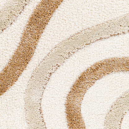 Surya Hudson Shag HDS-2311 Cream Modern Machine Woven Rug
