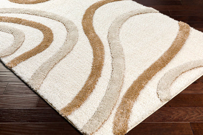 Surya Hudson Shag HDS-2311 Cream Modern Machine Woven Rug