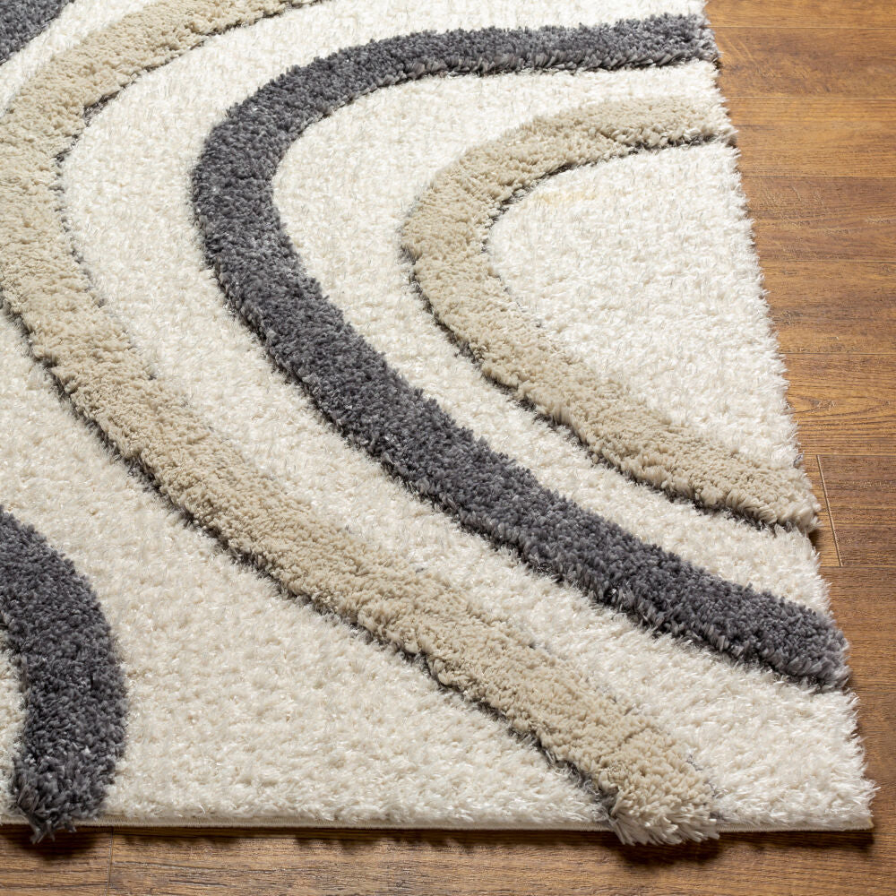 Surya Hudson Shag HDS-2313 Cream Modern Machine Woven Rug