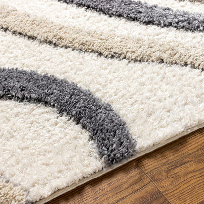 Surya Hudson Shag HDS-2313 Cream Modern Machine Woven Rug