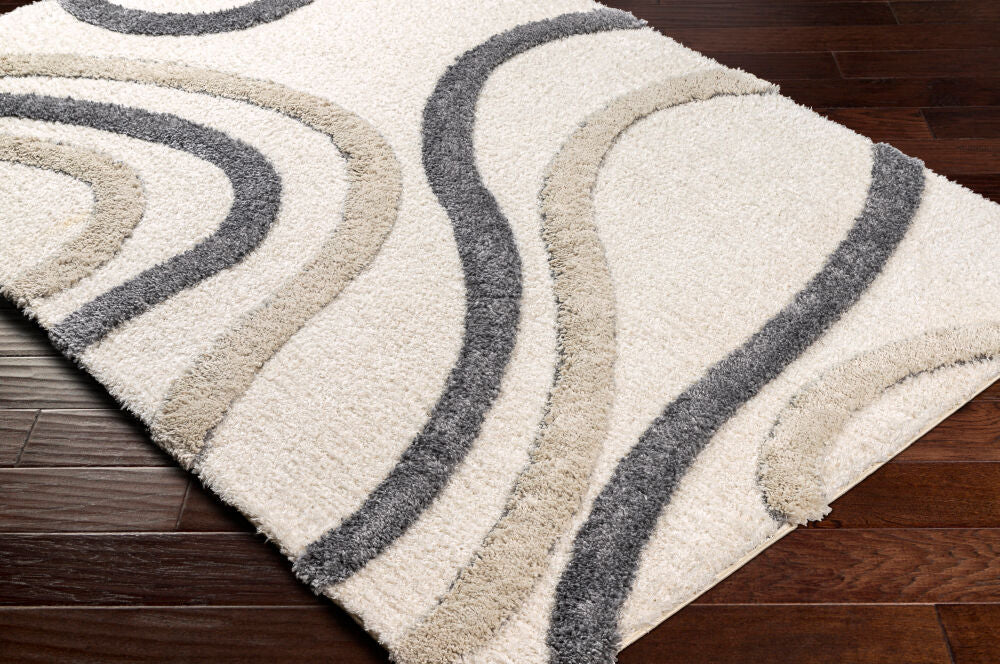 Surya Hudson Shag HDS-2313 Cream Modern Machine Woven Rug