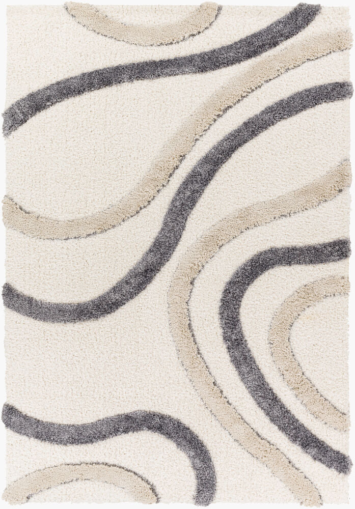 Surya Hudson Shag HDS-2313 Cream Modern Machine Woven Rug