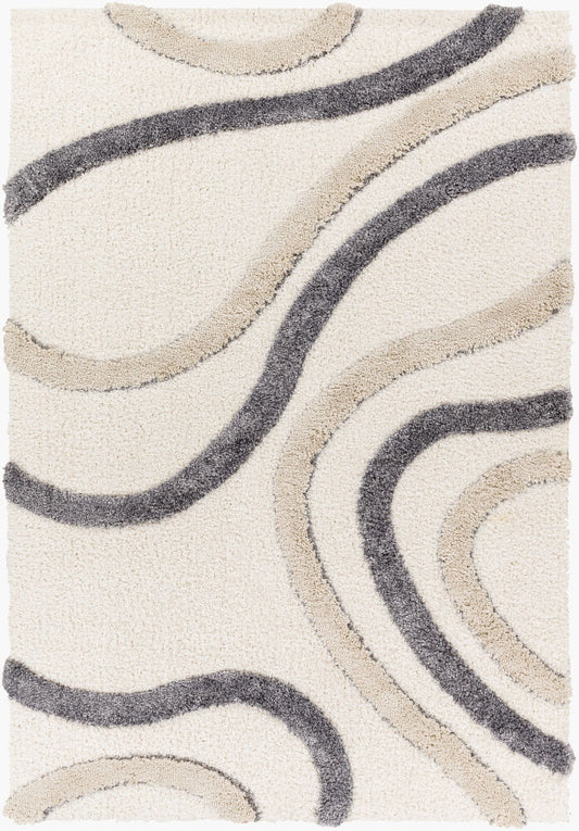 Surya Hudson Shag HDS-2313 Cream Modern Machine Woven Rug