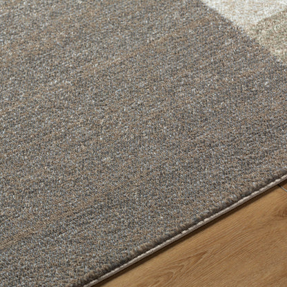 Surya Hyde Park HYP-2301 Light Brown Modern Machine Woven Rug