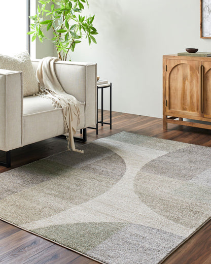 Surya Hyde Park HYP-2301 Light Brown Modern Machine Woven Rug