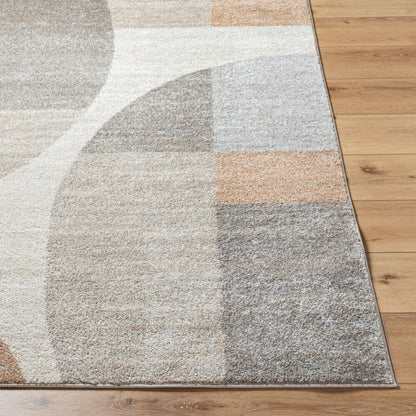 Surya Hyde Park HYP-2302 Light Brown Modern Machine Woven Rug