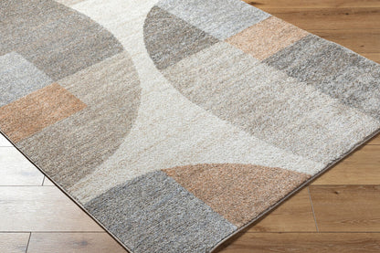 Surya Hyde Park HYP-2302 Light Brown Modern Machine Woven Rug