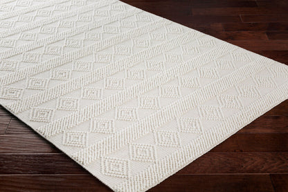 Surya Hygge HYG-2302 White Cottage Hand Woven Rug