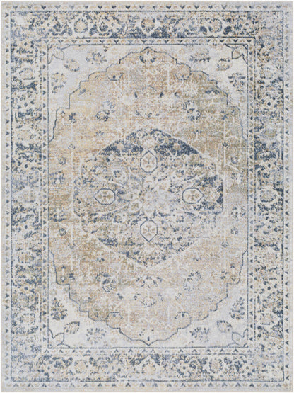 Surya Lillian LLL-2309 Gray Traditional Machine Woven Rug