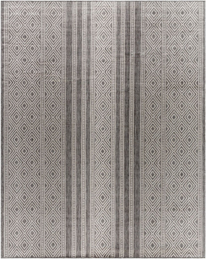 Surya Long Beach LBH-2302 Charcoal Global Machine Woven Rug