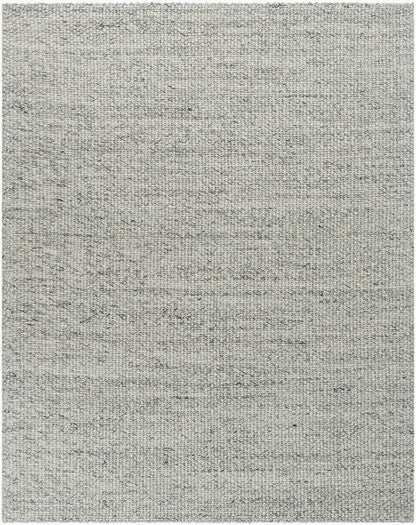 Surya Lucerne LNE-1001 Charcoal Modern Hand Woven Rug