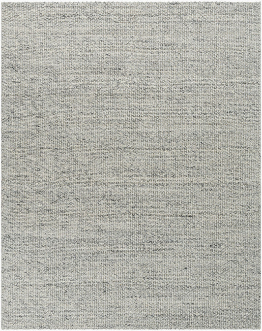 Surya Lucerne LNE-1001 Charcoal Modern Hand Woven Rug
