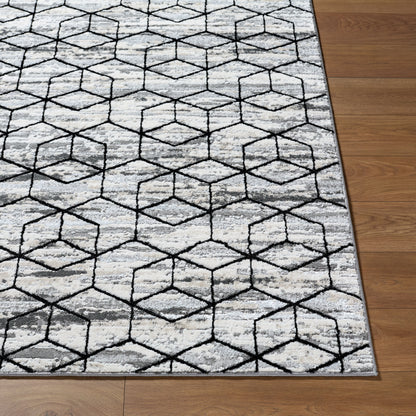 Surya Lustro LSR-2333 Gray Modern Machine Woven Rug