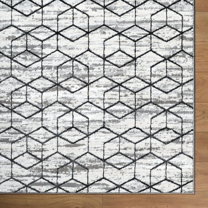 Surya Lustro LSR-2333 Gray Modern Machine Woven Rug