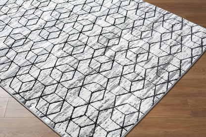 Surya Lustro LSR-2333 Gray Modern Machine Woven Rug