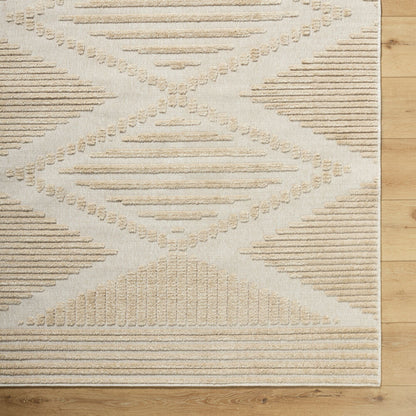 Surya Lyna LYA-2339 Beige Global Machine Woven Rug