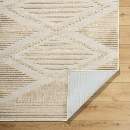 Surya Lyna LYA-2339 Beige Global Machine Woven Rug