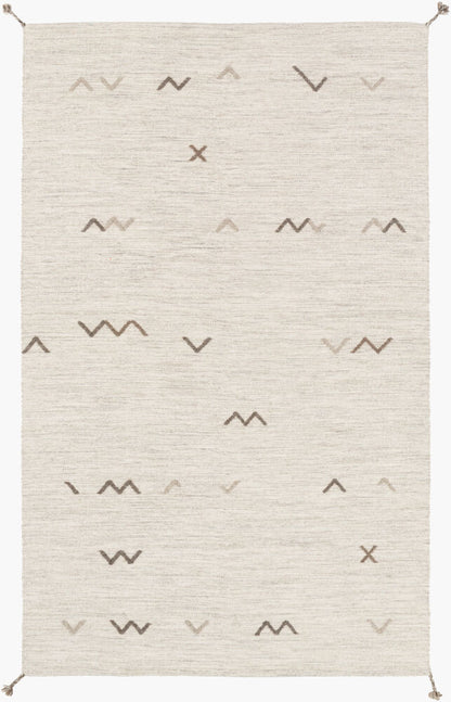 Surya Montezuma MTZ-2004 Light Gray Global Hand Woven Rug
