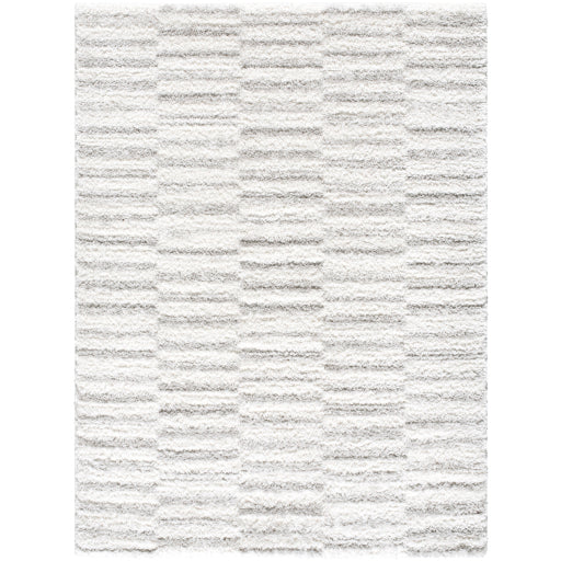 Surya Nomadic NMC-2321 Cream Modern Machine Woven Rug