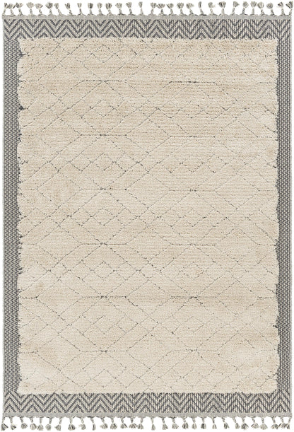 Surya Sousse SUS-2305 Light Beige Global Machine Woven Rug