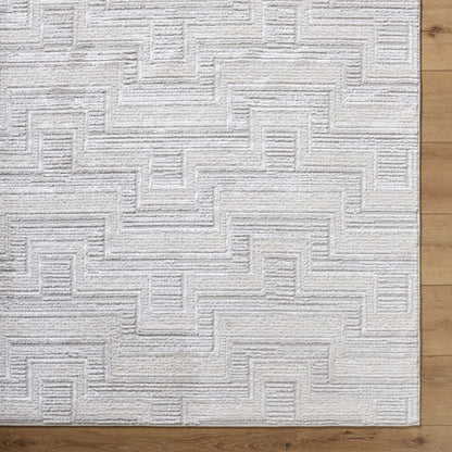 Surya Wolly WOY-2301 Ivory Modern Machine Woven Rug