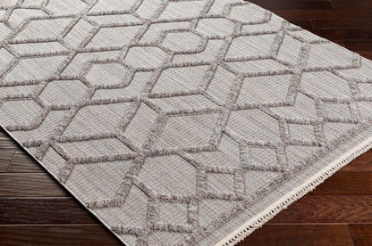 Surya Zaragoza ZRZ-2304 Light Slate Modern Machine Woven Rug