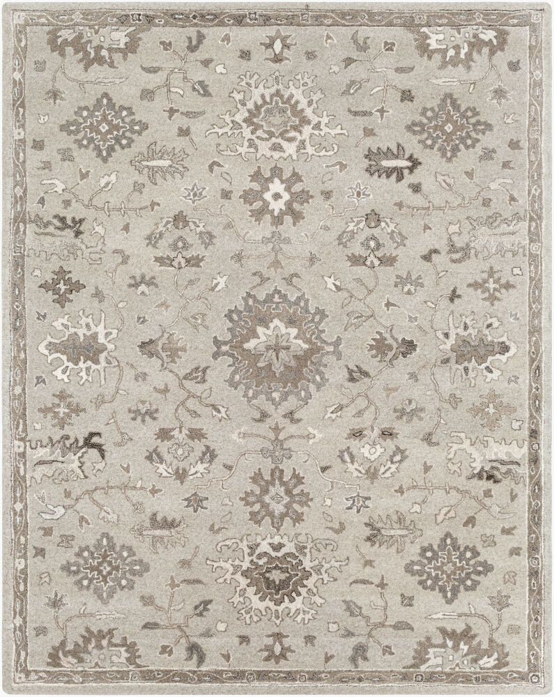 Surya Caesar CAE-1197 Taupe Traditional Hand Tufted Rug