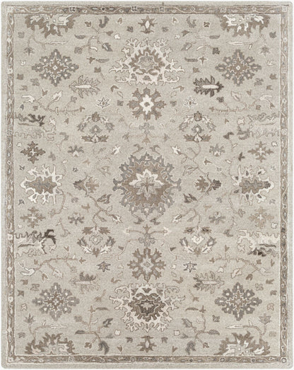 Surya Caesar CAE-1197 Taupe Traditional Hand Tufted Rug