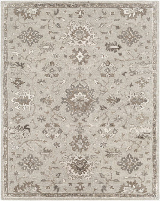 Surya Caesar CAE-1197 Taupe Traditional Hand Tufted Rug
