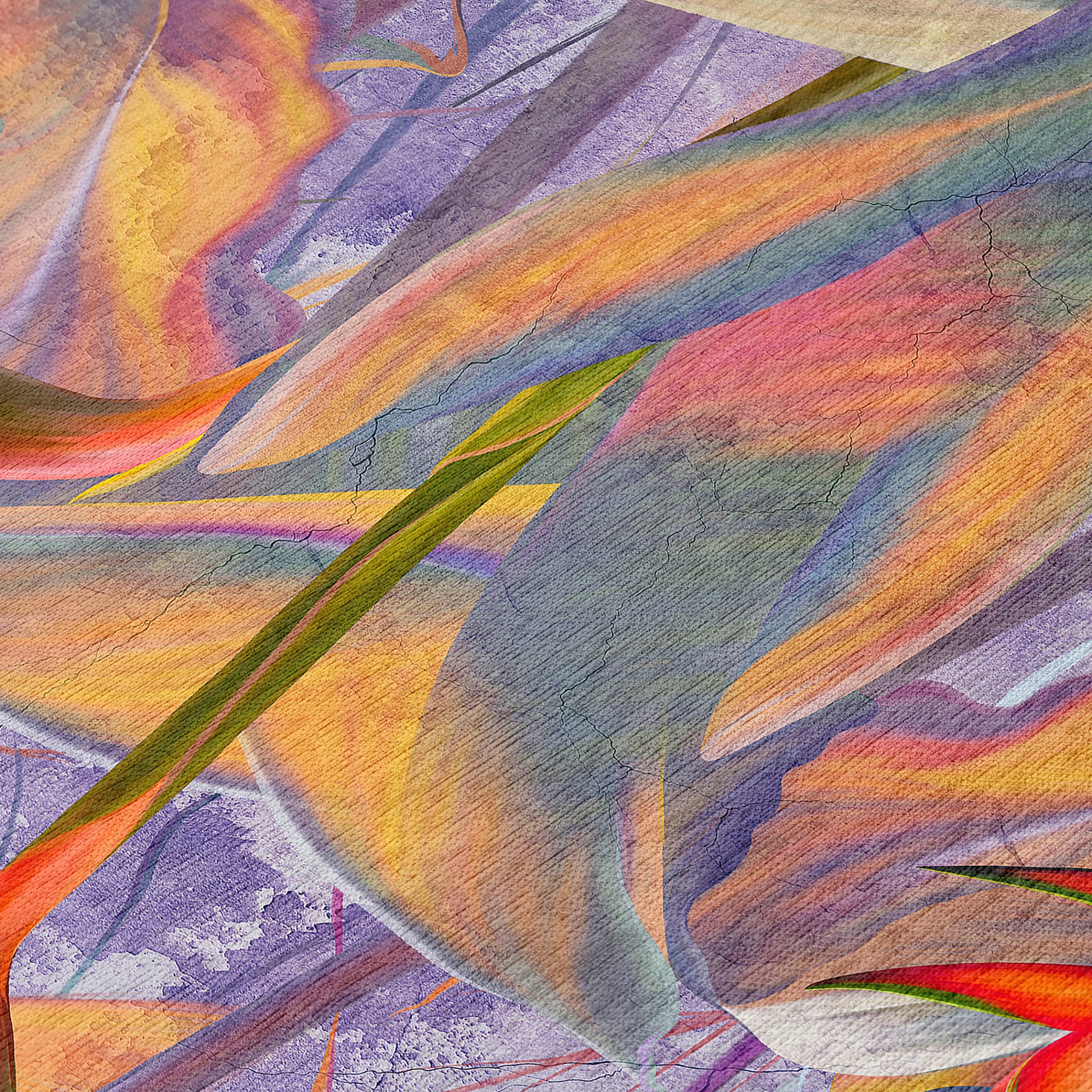 Dalyn Rugs Tropics  Passion  Tropical