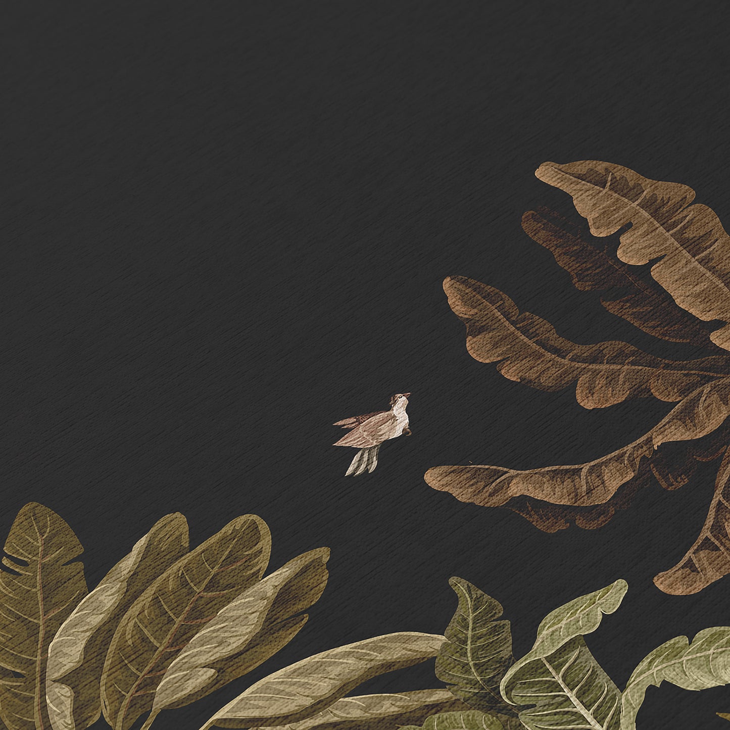 Dalyn Rugs Tropics  Black  Tropical