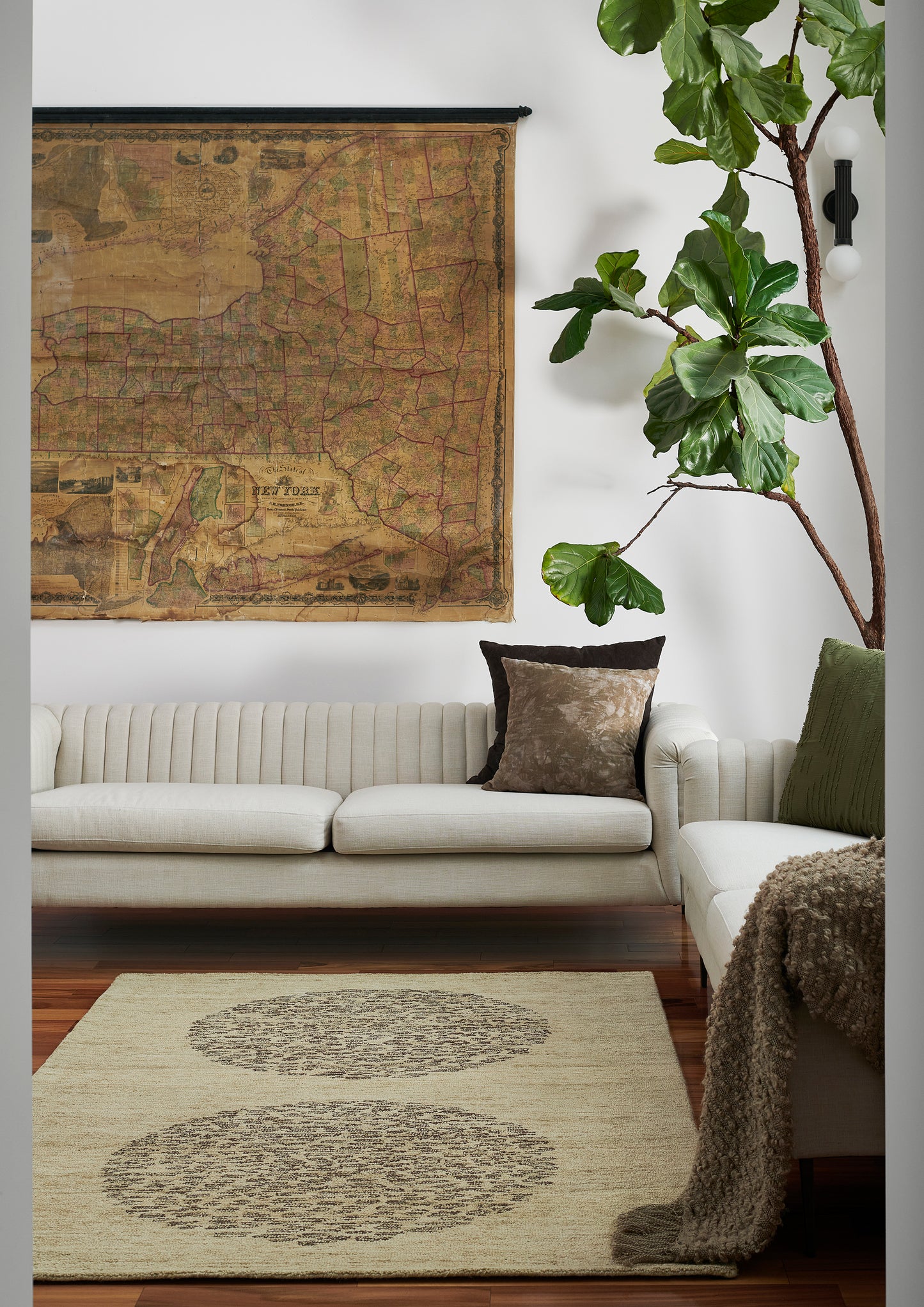 Momeni Teppe  Natural  Contemporary