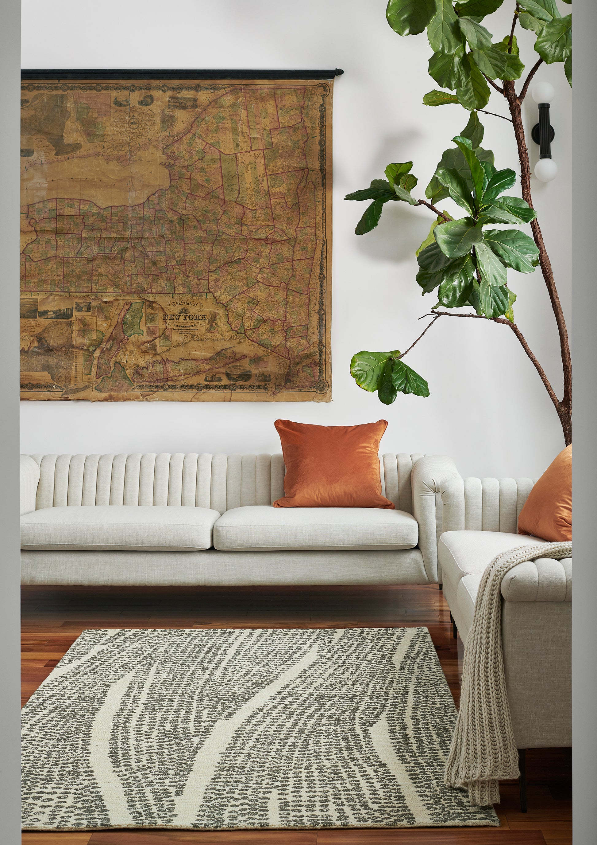 Momeni Teppe  Natural  Contemporary