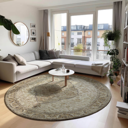 Dalyn Rugs Tuscany  Gold  Traditional