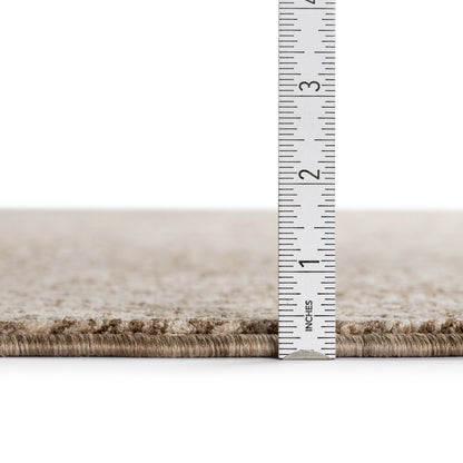 Dalyn Rugs Vienna  Chocolate  Traditional