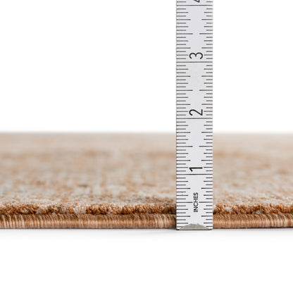 Dalyn Rugs Vienna  Paprika  Traditional