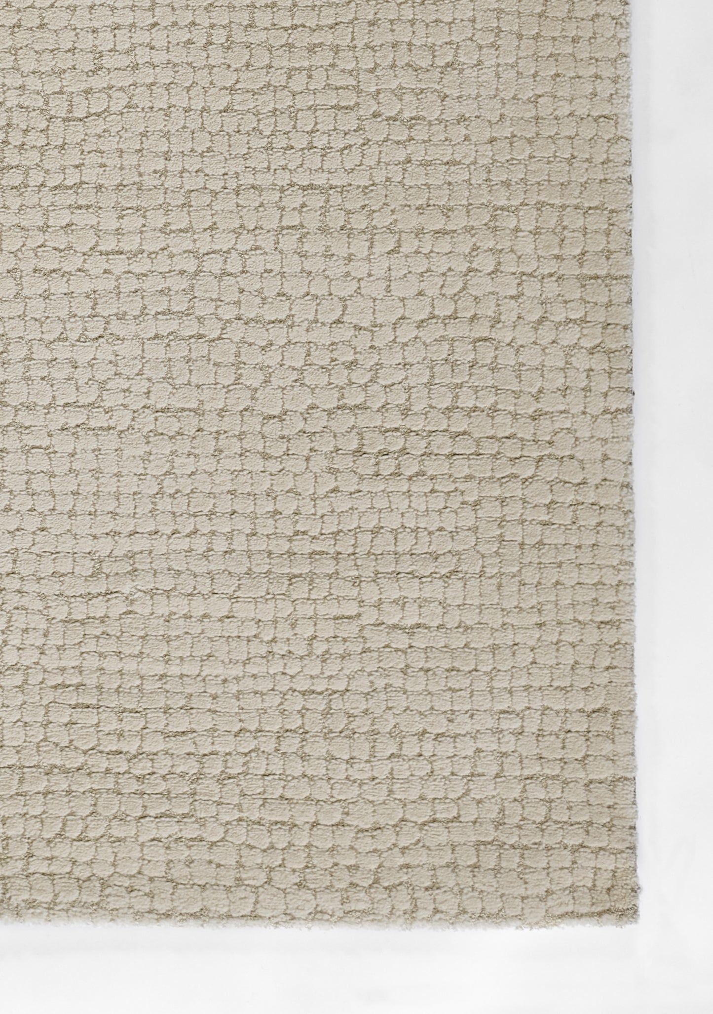 Momeni Wren  Ivory  Contemporary